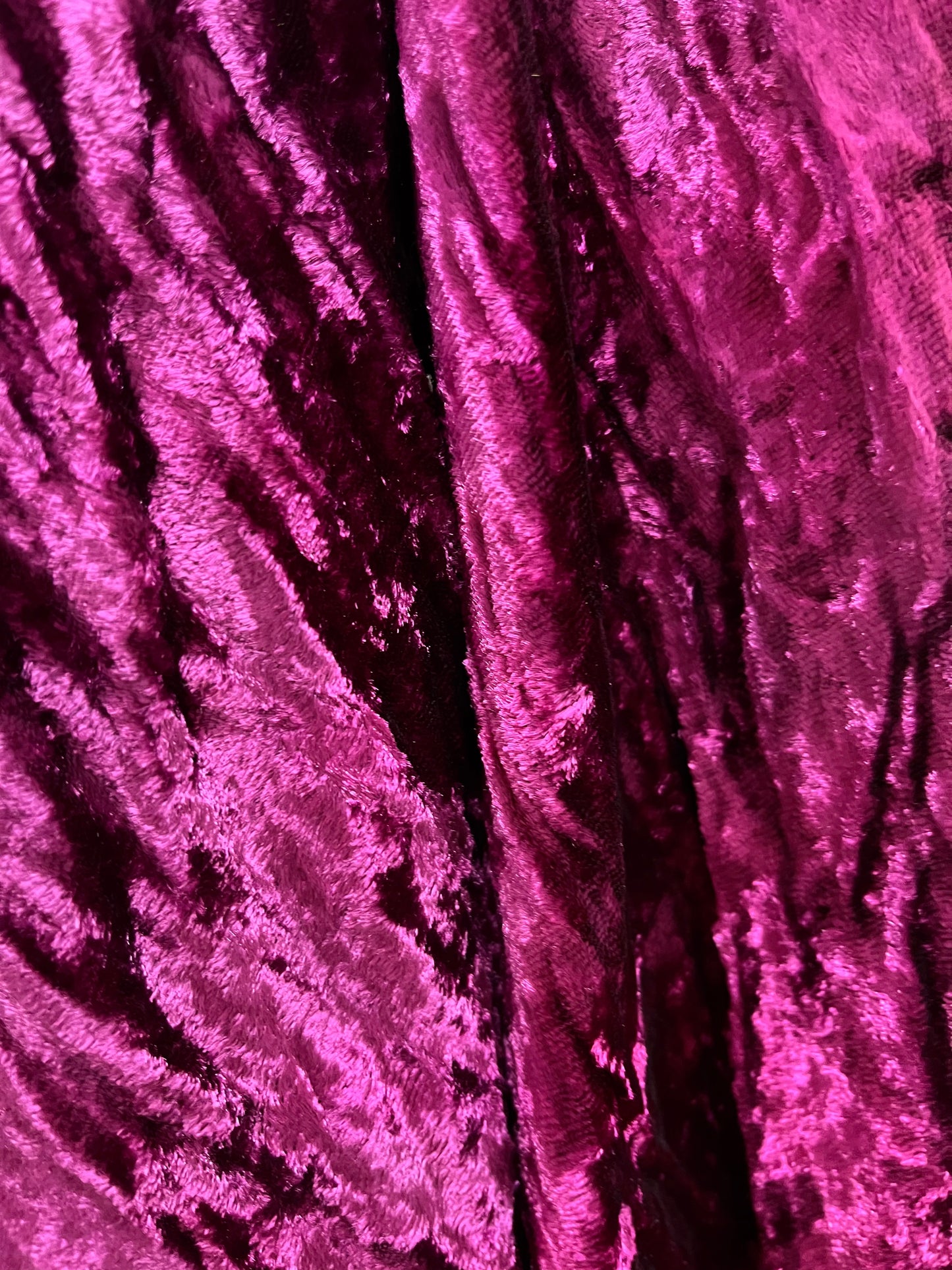 Velvet Butterfly Blouse